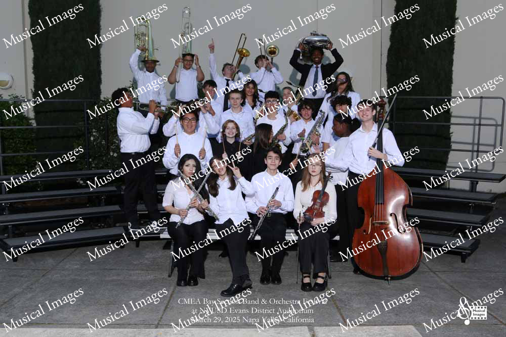 Musical Images